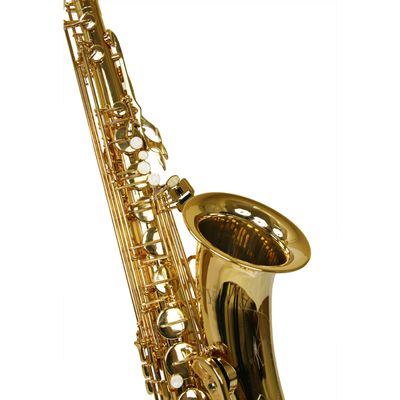 Saxofone Tenor TS 200 Laqueado Dourado com Case New York