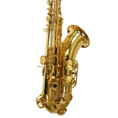 Kit Saxofone Tenor TS 200 Laqueado New York + Estante de Partitura S1