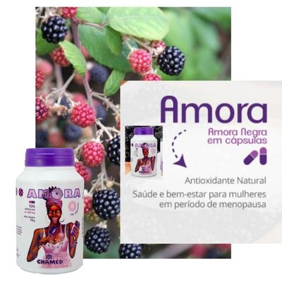 Amora Negra em cápsula  5 Frascos c/ 100 cápsulas de 600mg Chamed  (Fabricante: Chamel)