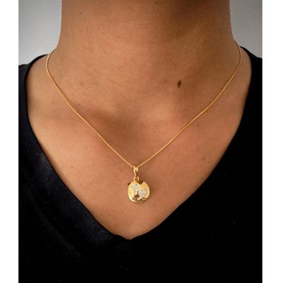 Colar De Signo Capricornio Com Zirconias  banhado ouro semijoia
