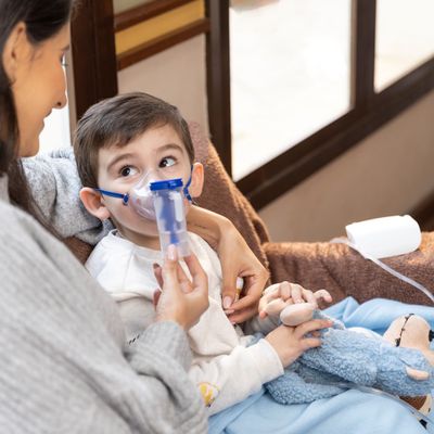Nebulizador Inalador de Ar Comprimido Adulto e Infantil Dellamed Branco / Bivolt