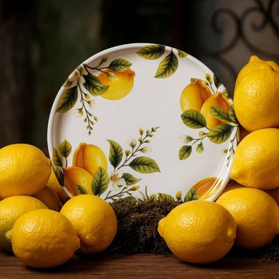 Conjunto 12 Pratos Rasos Sobremesa em Cerâmica Porto Brasil Limonata Decorado