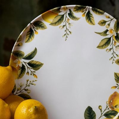 Conjunto 12 Pratos Rasos Sobremesa em Cerâmica Porto Brasil Limonata Decorado