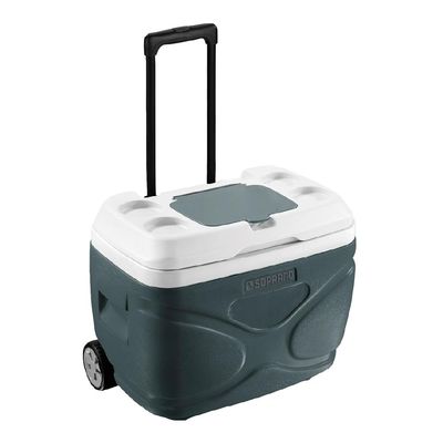 Caixa Térmica Everest 30L Cinza