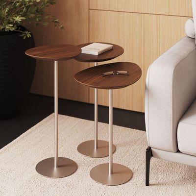 Conjunto De 3 Mesas Laterais Orgânicas Kaleo Base Champanhe Tampo Castanho
