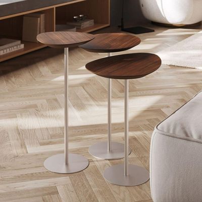 Conjunto De 3 Mesas Laterais Orgânicas Kaleo Base Champanhe Tampo Castanho