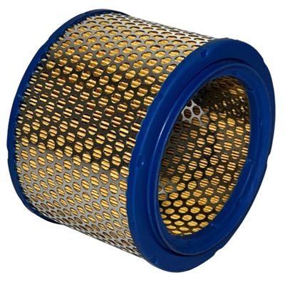Filtro De Ar Cpb15 Cpb20 Cpb25 Cpb30 Cpb40 Série Anterior Brp073237 Cpc30 Cpc40 Série Brp Cpa15 Cpa20 Série Anterior Cai456947