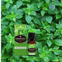 Óleo Essencial de Manjericão 10ml 100% Puro Chamed