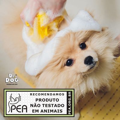 Escova Rasqueadeira Pet Automática p/ Cães Gatos, Remove Nós, Reduz Queda, Para Pelo Curto ou Longo