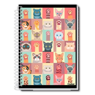 Caderno Universitário Feminino My Collection 224F/16 Matérias Credeal UNICA