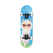 Skate Radical Bel Fix 4019 Sortido