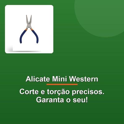 Alicate Mini Western Bico Meia Cana 5" Azul