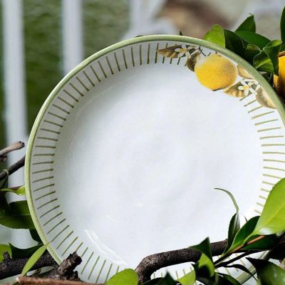 Jogo De Pratos 18 Peças Bio Lemon Porto Brasil