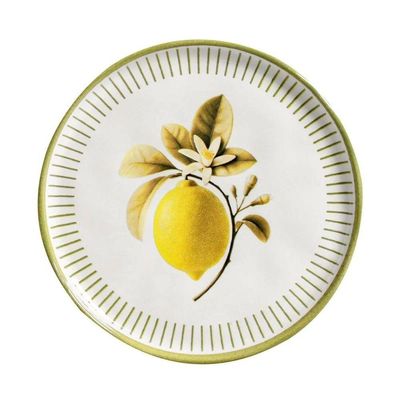 Aparelho De Jantar 30 Peças Bio Lemon Porto Brasil
