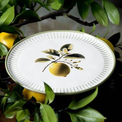 Aparelho De Jantar 30 Peças Bio Lemon Porto Brasil