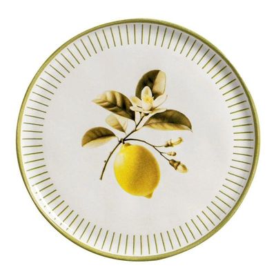 Aparelho De Jantar 30 Peças Bio Lemon Porto Brasil
