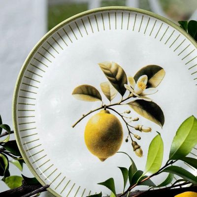 Aparelho De Jantar 30 Peças Bio Lemon Porto Brasil