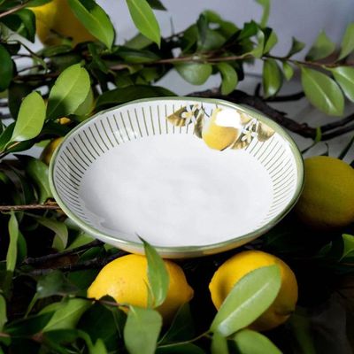 Aparelho De Jantar 30 Peças Bio Lemon Porto Brasil