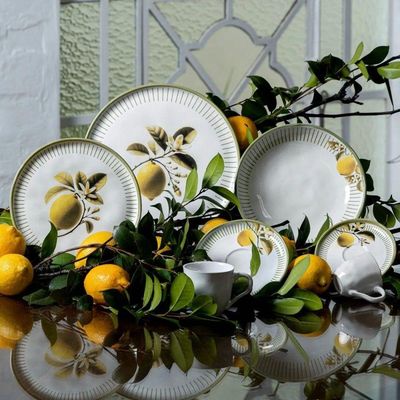 Aparelho De Jantar 30 Peças Bio Lemon Porto Brasil