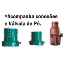 Motobomba Diesel Centrífuga 2.1/2x2'' 7cv P Elétrica Buffalo