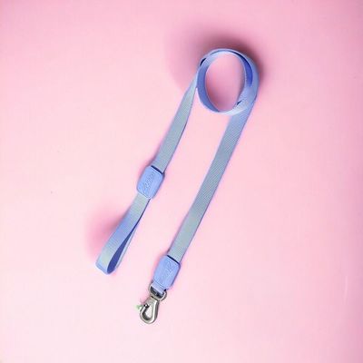 Coleira Ajustável E Guia Para Cães Violeta - M