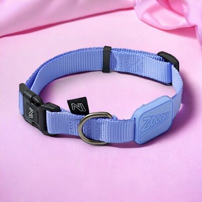 Coleira Ajustável E Guia Para Cães Violeta - M