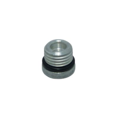 Bujão 1/4 Com Sextavado Interno 6 Mm