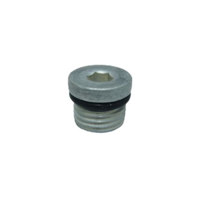 Bujão 1/4 Com Sextavado Interno 6 Mm