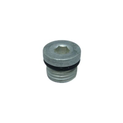 Bujão 1/4 Com Sextavado Interno 6 Mm