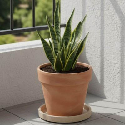Prato Médio para Vaso de Planta Granito Areia Polietileno Tramontina Jardim Flor