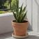 Prato Médio para Vaso de Planta Granito Areia Polietileno Tramontina Jardim Flor