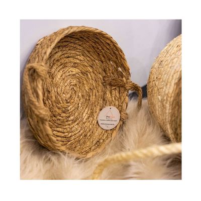 Cestos Fibra Natural Junco Palha Corda Cestas Kit 2un