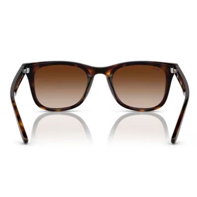 OCULOS SOLAR RAY-BAN RB4420 710/1365