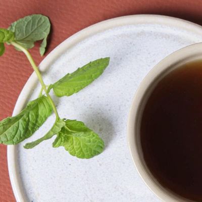 Conjunto de Xícaras de Chá com Pires Porto Brasil Neo Latte 210ml - 6 Peças