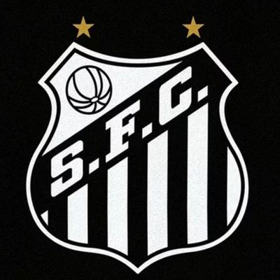Toalha de Praia KazzaVip Felpa 55% Algodão e 45% Poliéster Estampada Anti Areia Santos Peixe Oficial 70cm x 140m Preto