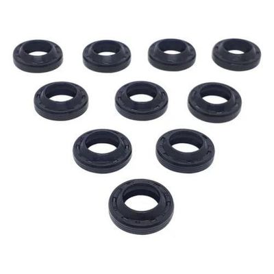 Anel Raspadorador 12 x 20 x 4/6 - Kit 10 Peças Karcher