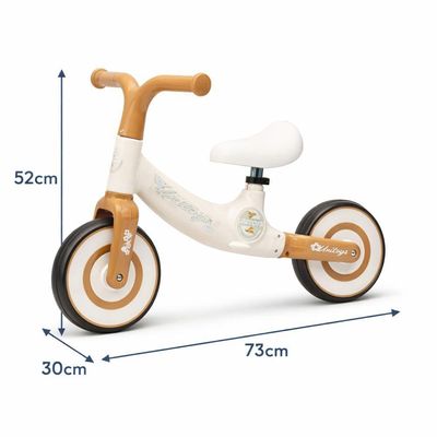 Bicicleta De Equilíbrio Infantil Sem Pedal Aro 12 Balance