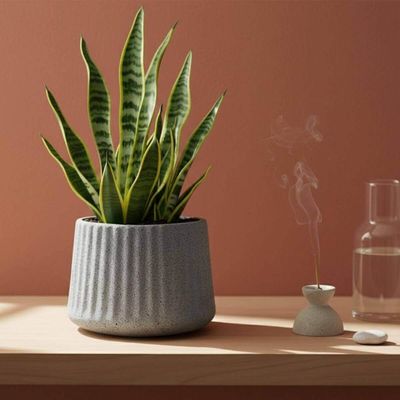 Kit 2 Vasos de Flor Decorativos Tramontina Lótus 600ml Pedra Pequenos Acabamento Granito