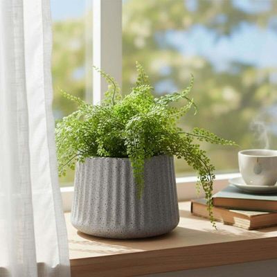 Kit 2 Vasos de Flor Decorativos Tramontina Lótus 600ml Pedra Pequenos Acabamento Granito