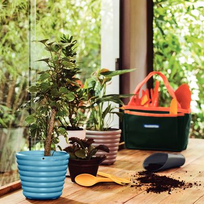 Kit para Jardinagem Tramontina com Bolsa em Lona 13 Peças  Cinza/Laranja