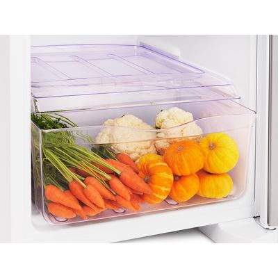 Geladeira Electrolux Cycle Defrost 240L Degelo Prático Uma Porta Branca (RE31) 127V