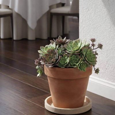 Kit 2 Pratos Médios Tramontina Granito Areia Vaso Folhagem