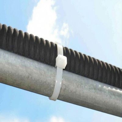 Abraçadeira De Nylon Foxlux 200x3.5mm Branca 100un
