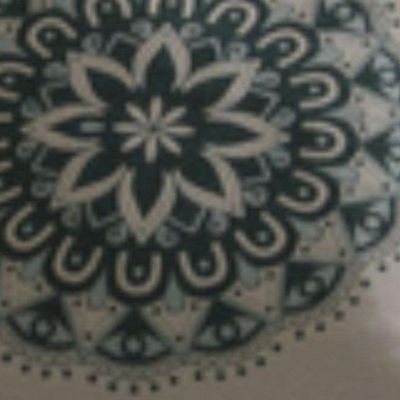 Almofada Decorativa Turin Quadrada Com Refil 58% Algodão / 42% Poliéster - Mandala Verde