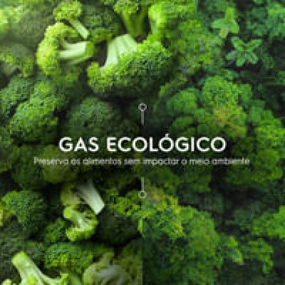 Adega de Vinho Climatizada Electrolux 29 Garrafas com Dual Zone e Painel Digital (WDF29) 127V