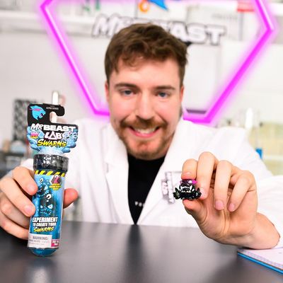 Kit 2 Tubo de Ensaio com 2 Mini Bonecos Swarms MrBeast Lab