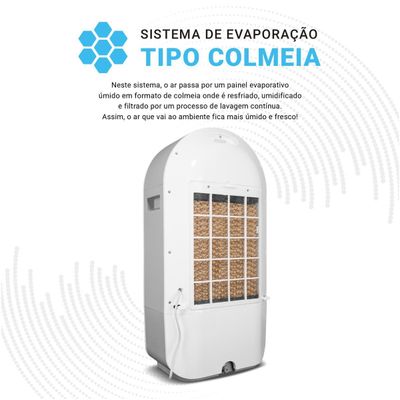 Climatizador de Ar Philco 22L 4 em 1 100W PCL22A 127V