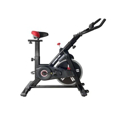 Bicicleta Ergométrica P/ Spinning Mecanica 11kg Oneal Tp1500