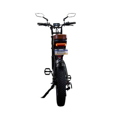 Bicicleta Scooter Elétrica WX-19 Wehawk 750W Bat 48V 15Ah Litio Banco Marrom