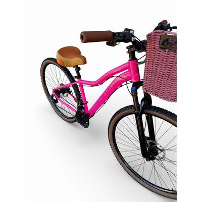 Bicicleta Aro 29 Feminina Absolute Hera Retrô Vintage 21v  Cesta Selim 2 Molas Rosa Tam 15